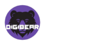 Digital Marketing Agency Hisar
